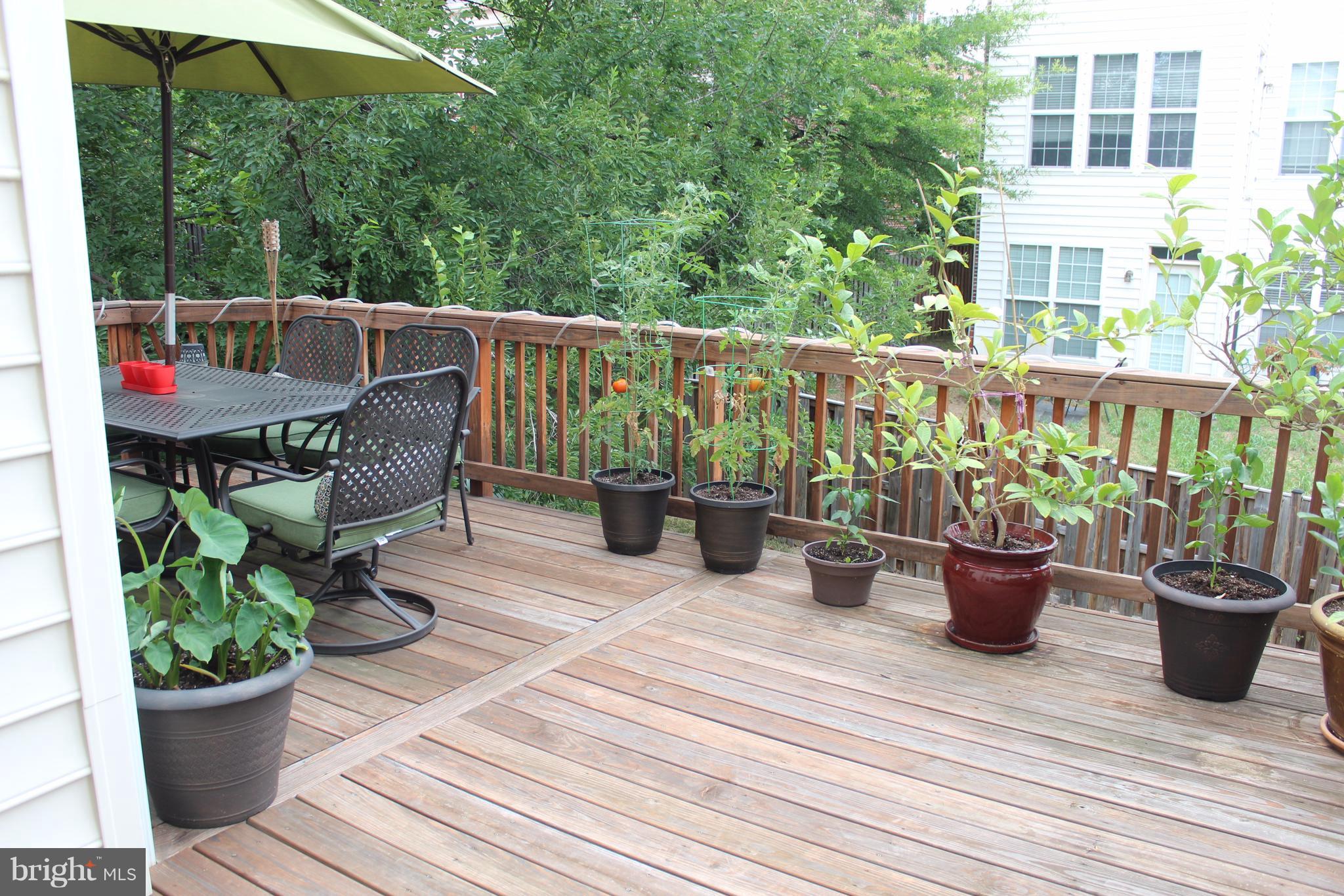 9168 Furey Road Lorton, VA 22079 - Photo 14 of 29 private deck