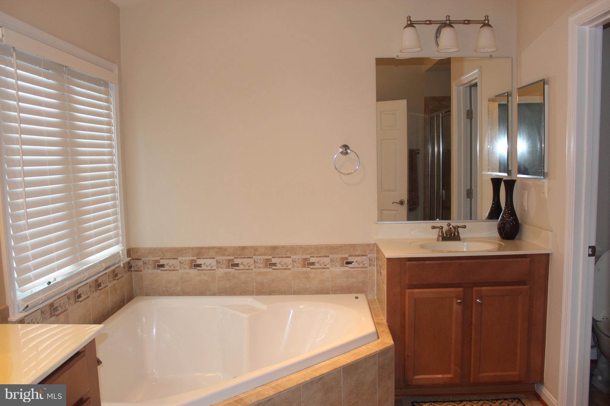 9168 Furey Road Lorton, VA 22079 - Photo 21 of 29 Bath (Master)