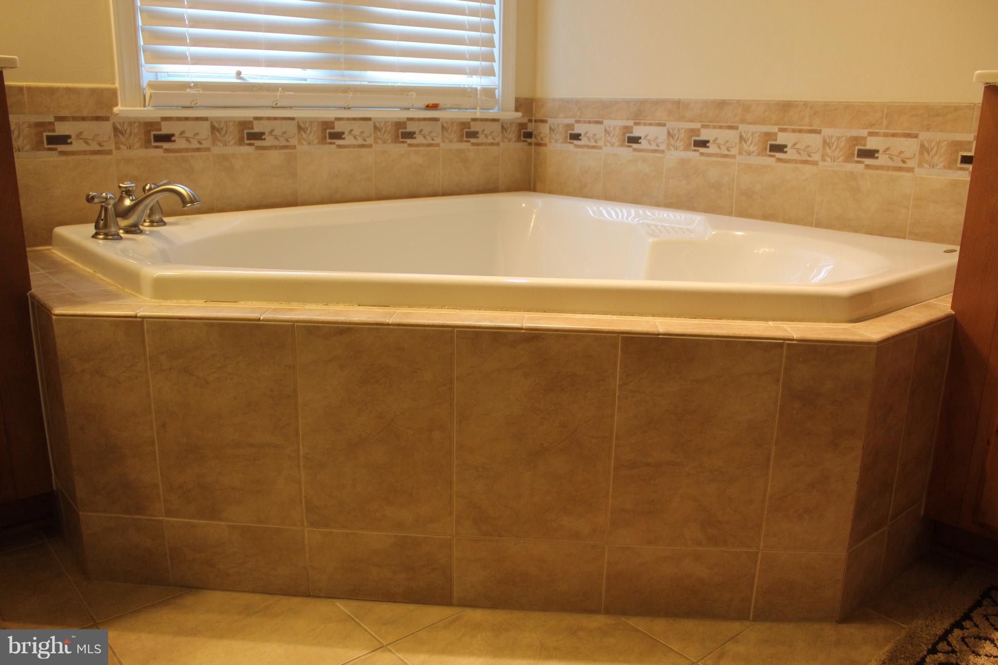 9168 Furey Road Lorton, VA 22079 - Photo 22 of 29 Bath (Master)