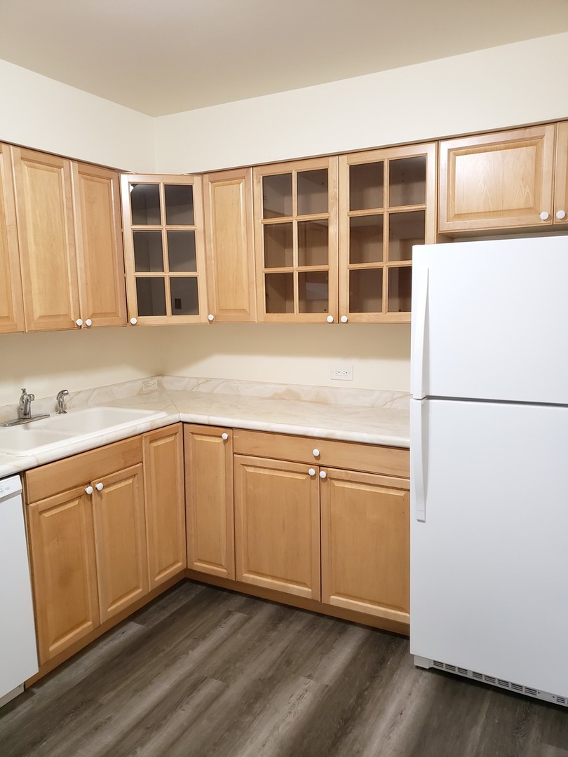 10369 Dearlove Road, Unit 1C Glenview, IL 60025 - Photo 3 of 9 a kitchen with a refrigerator sink and cabinets