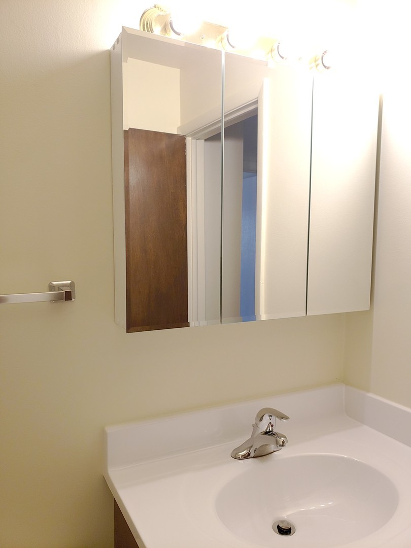 10369 Dearlove Road, Unit 1C Glenview, IL 60025 - Photo 8 of 9 a bathroom with a sink and a mirror