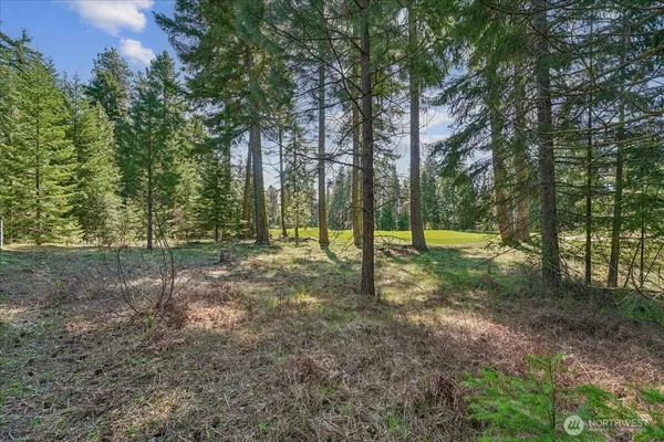 a view of outdoor space with trees