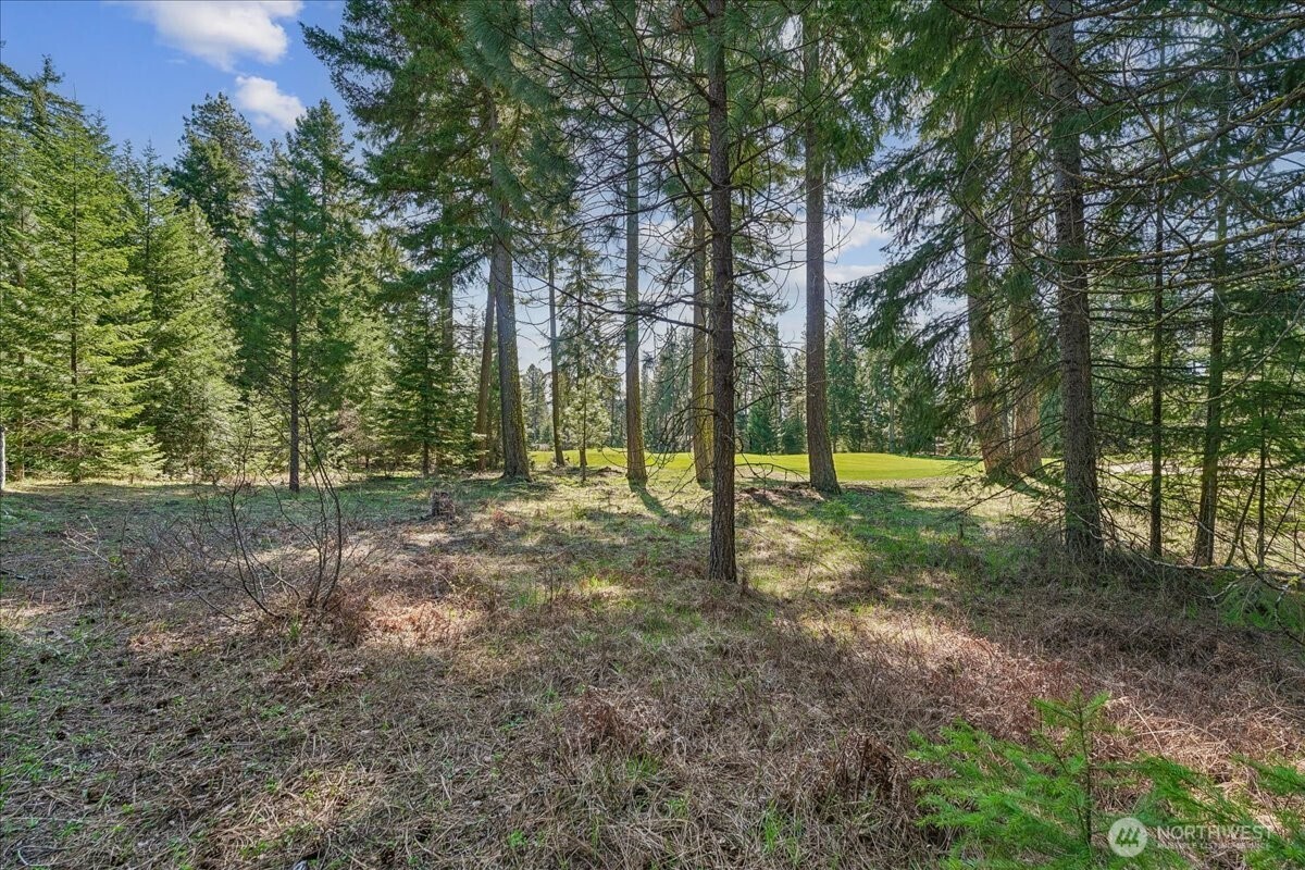50 Larkspur Loop Cle Elum, WA 98922 - Photo 36 of 36 a view of outdoor space with trees