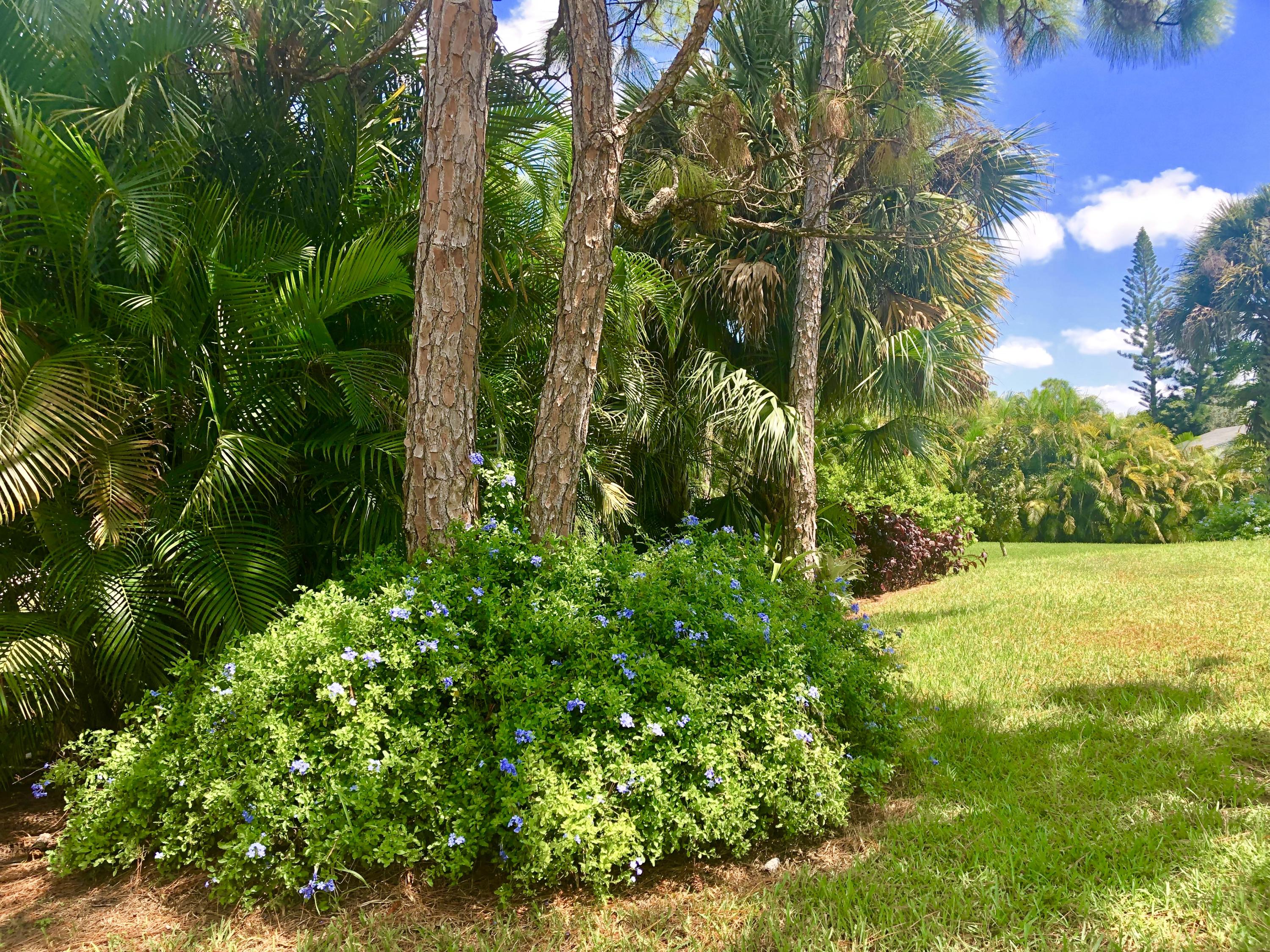 15440 76th Road North Loxahatchee, FL 33470 - Photo 90 of 169 fullsizeoutput_130f5