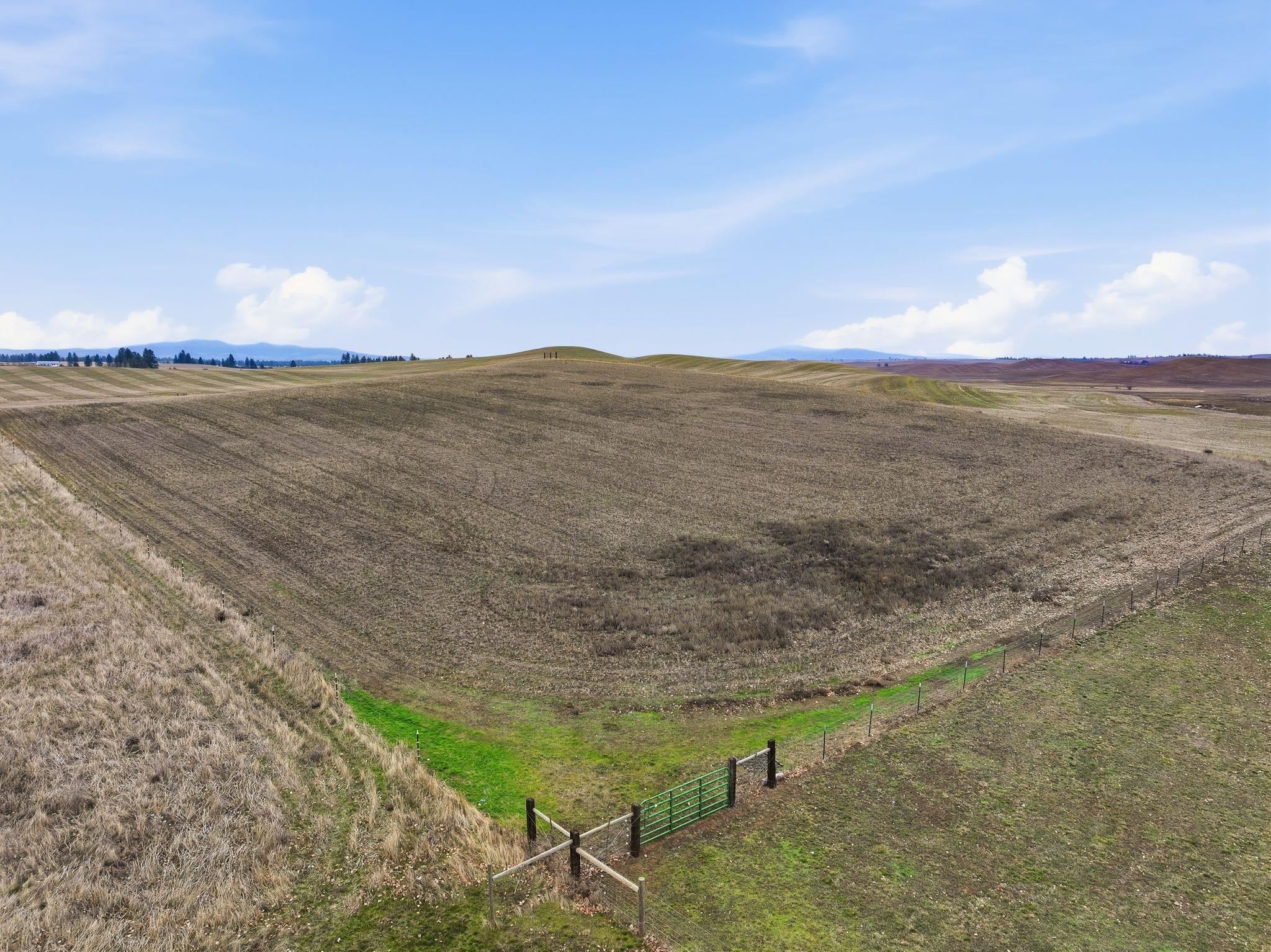 3013 East Watt Road Spangle, WA 99031 - Photo 42 of 50