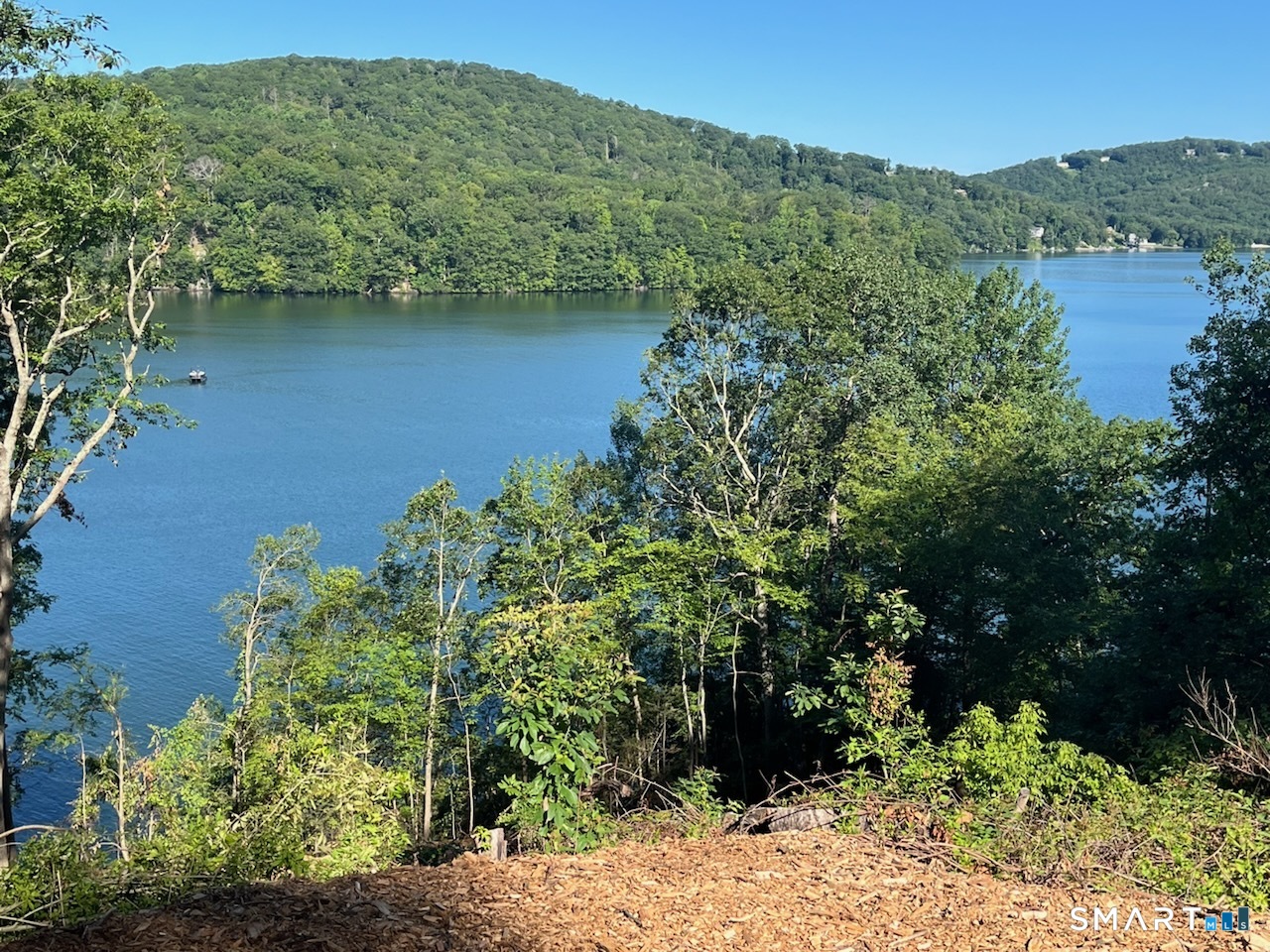a view of a lake with a mountain in the background