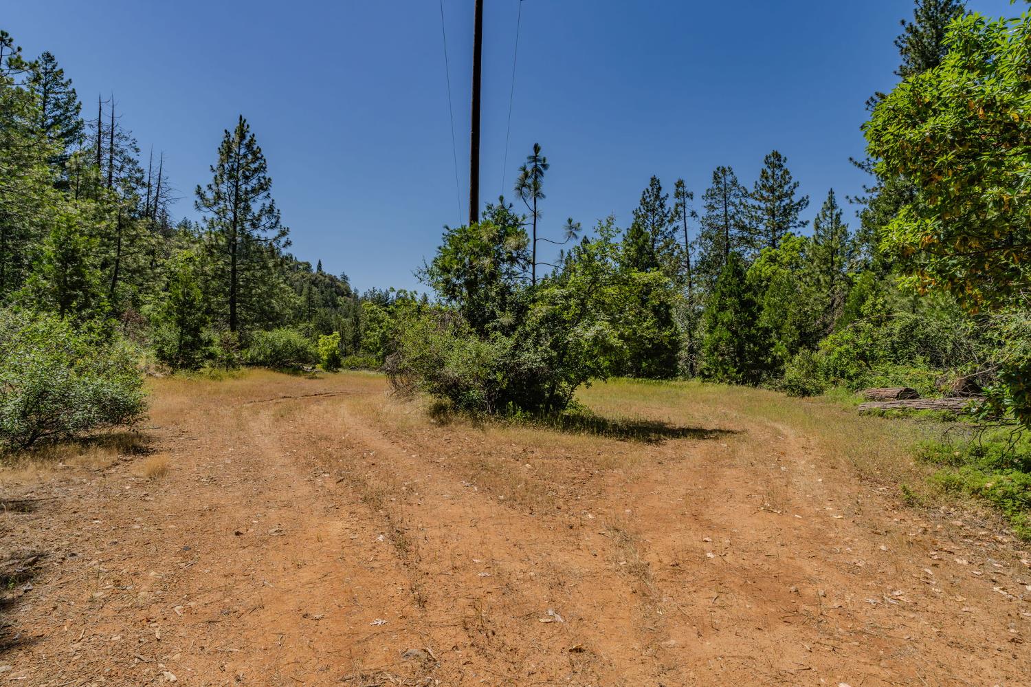 0 Schaefer Ranch Road Pioneer, CA 95666 - Photo 16 of 72