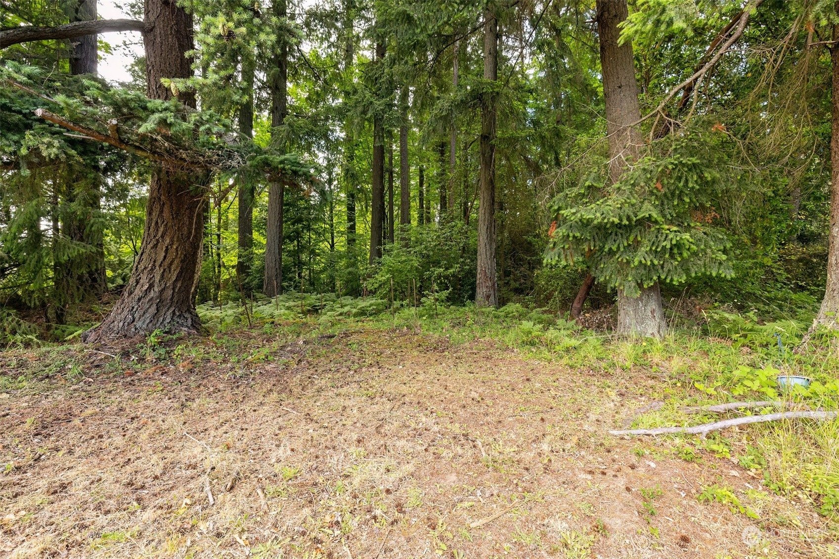 4763 East Collins Road Port Orchard, WA 98366 - Photo 24 of 30 Gallery Image 24