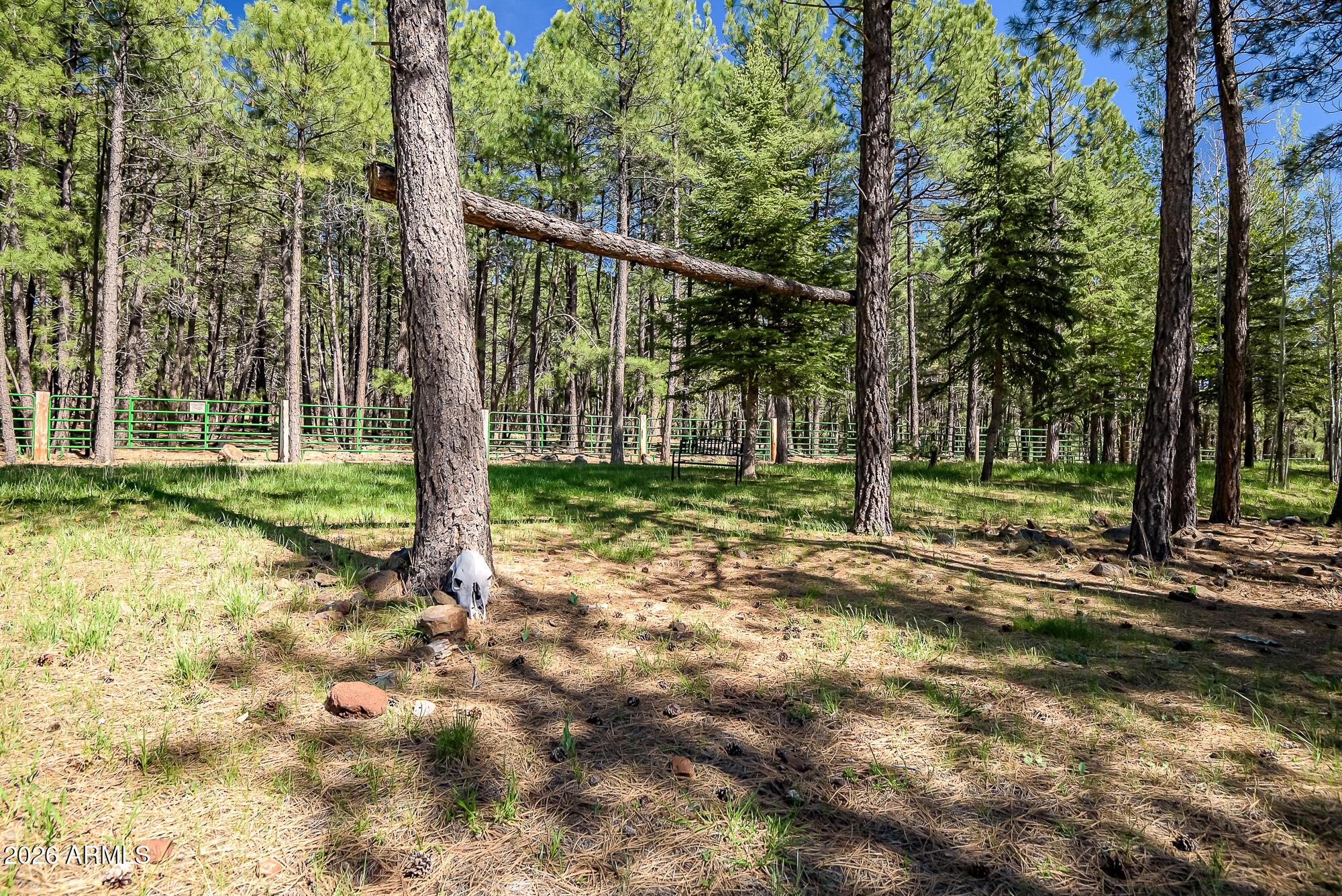 405 East Foxboro Road Munds Park, AZ 86017 - Photo 89 of 131 DSC_1451
