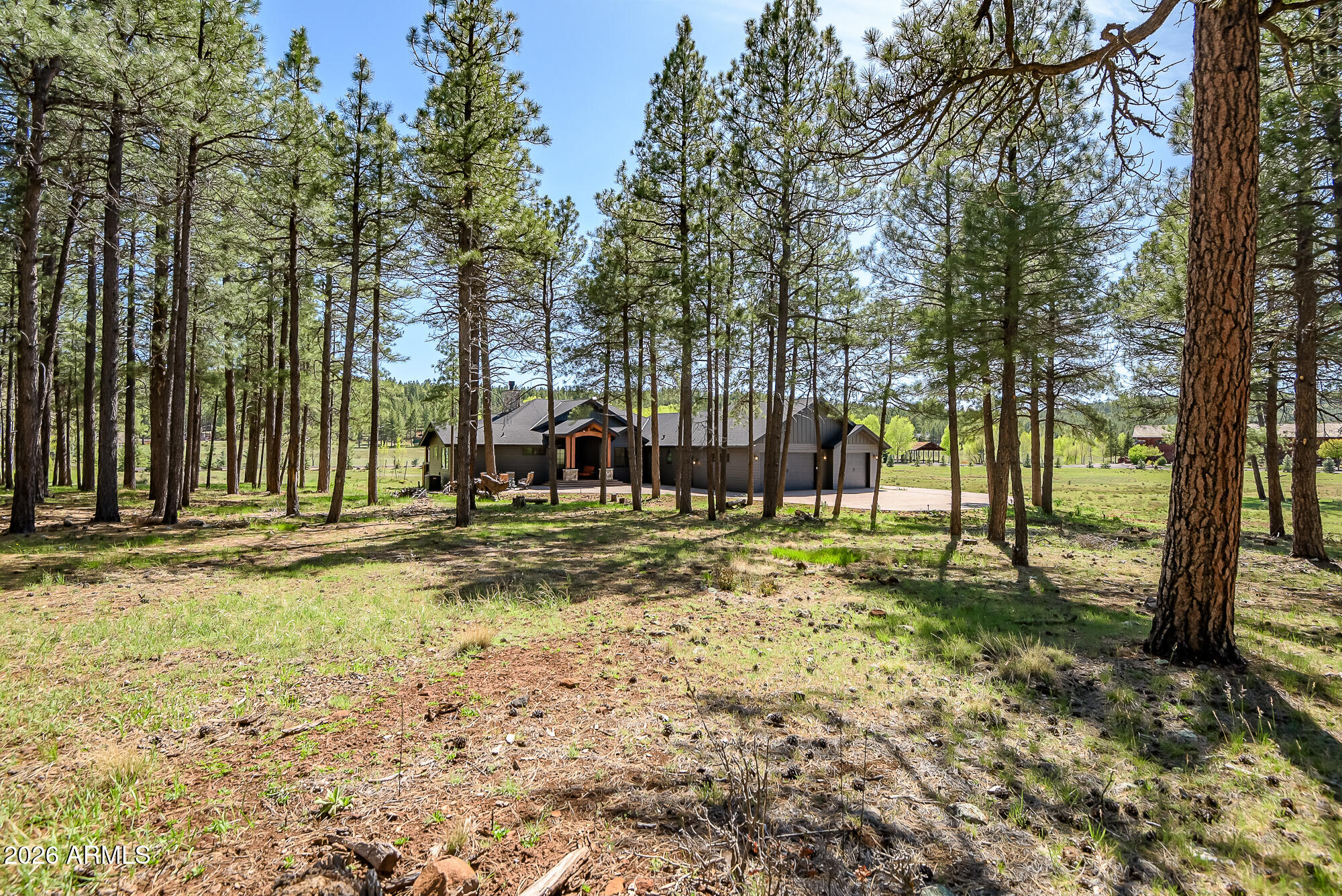 405 East Foxboro Road Munds Park, AZ 86017 - Photo 91 of 131 a view of a park with a tree