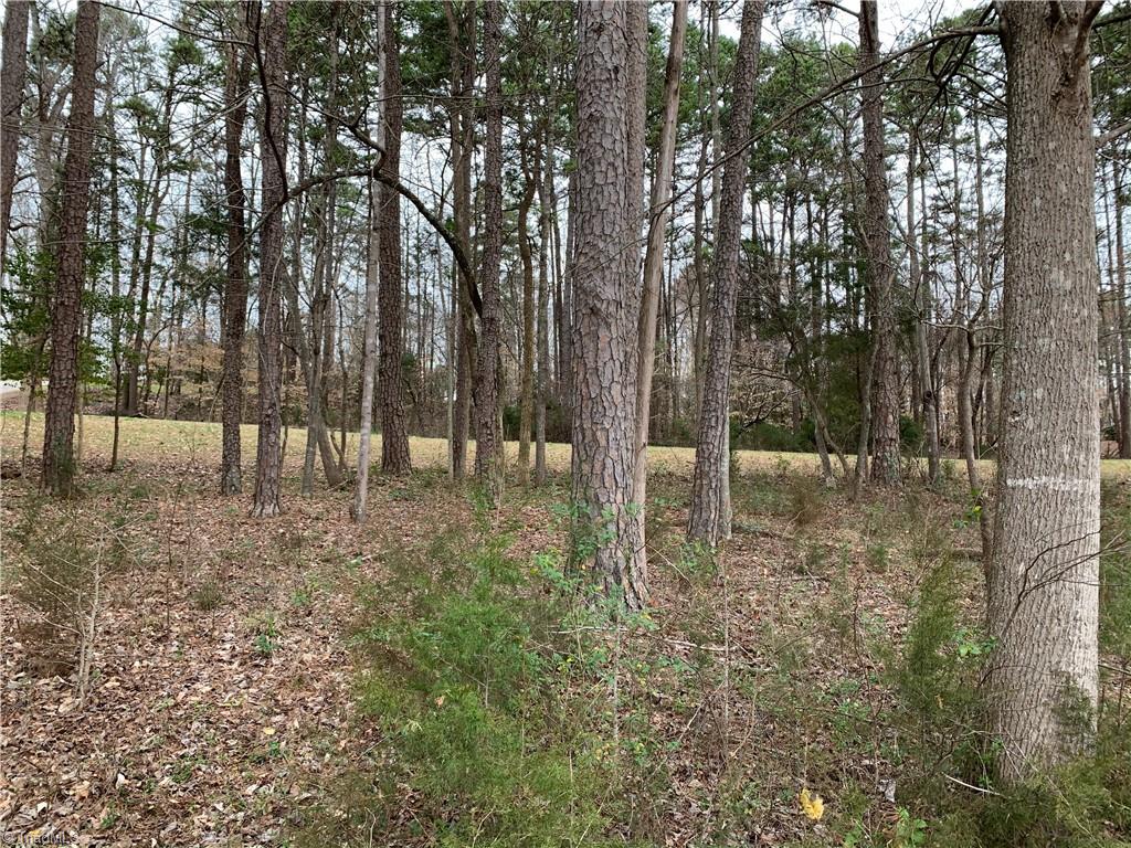 View of lot from Street