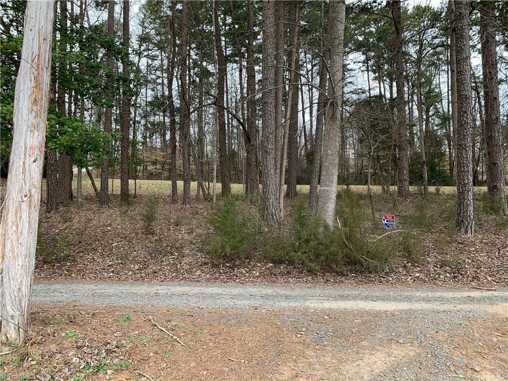 0 Fox Ridge Road Asheboro, NC 27205 - Photo 2 of 4 View of lot from Cart Path