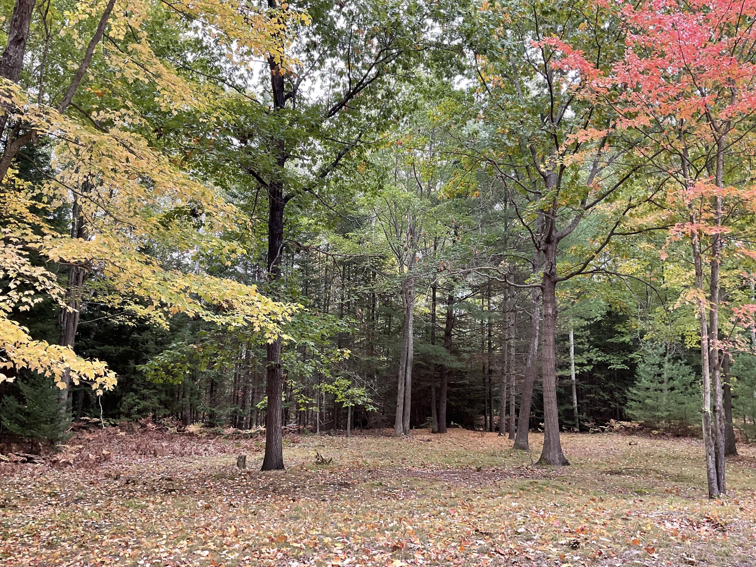 9141 Piper Road Ossineke, MI 49766 - Photo 23 of 24 Gallery Image 23