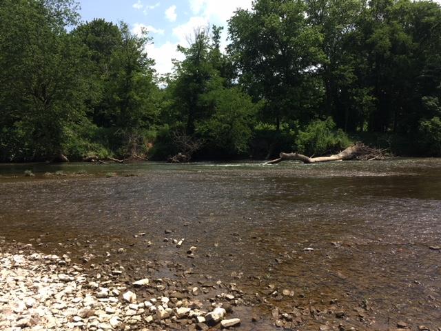 21 Buffalo River Linden, TN 37096 - Photo 4 of 6 a backyard of a house with lots of green space