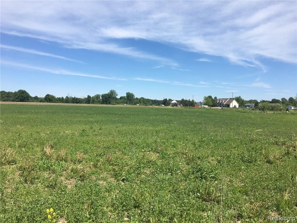 Parcel P Reynolds Road Imlay City, MI 48412 - Photo 4 of 7