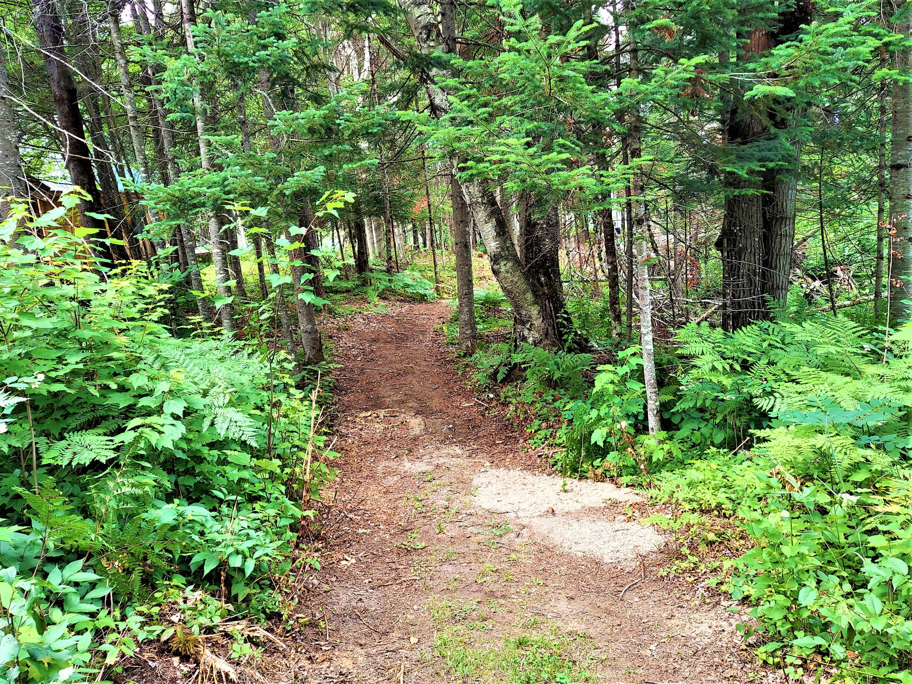 12 Nubble Way Stratton, ME 04982 - Photo 77 of 87 20210706_144708