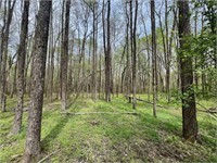 1971 Pomroy Road Manchester, TN 37355 - Photo 7 of 9 a view of outdoor space with trees