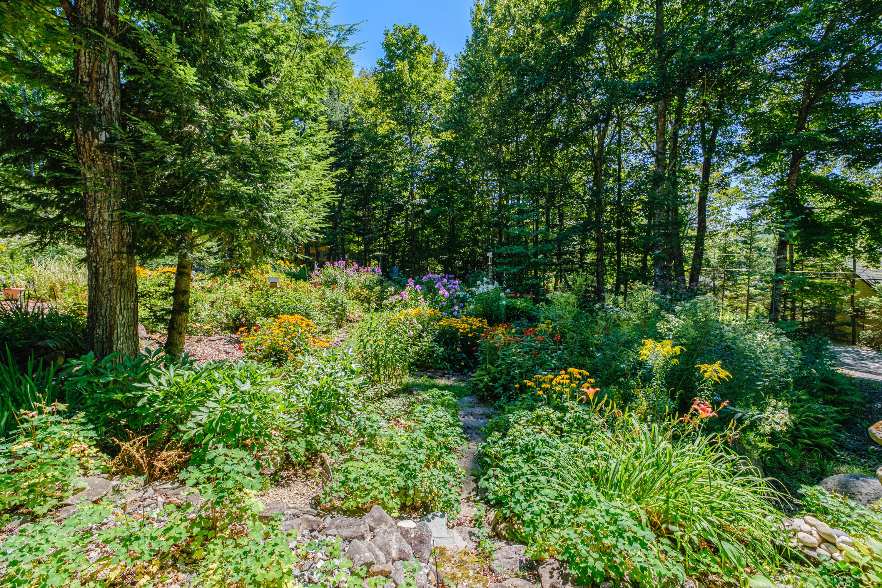 390 Howard Pond Road Hanover, ME 04237 - Photo 12 of 78 20250815gp-61041