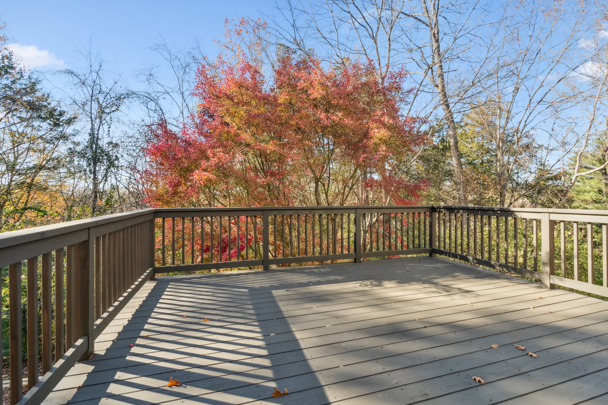 223 Winter Hill Road Franklin, TN 37069 - Photo 18 of 59 Gallery Image 18
