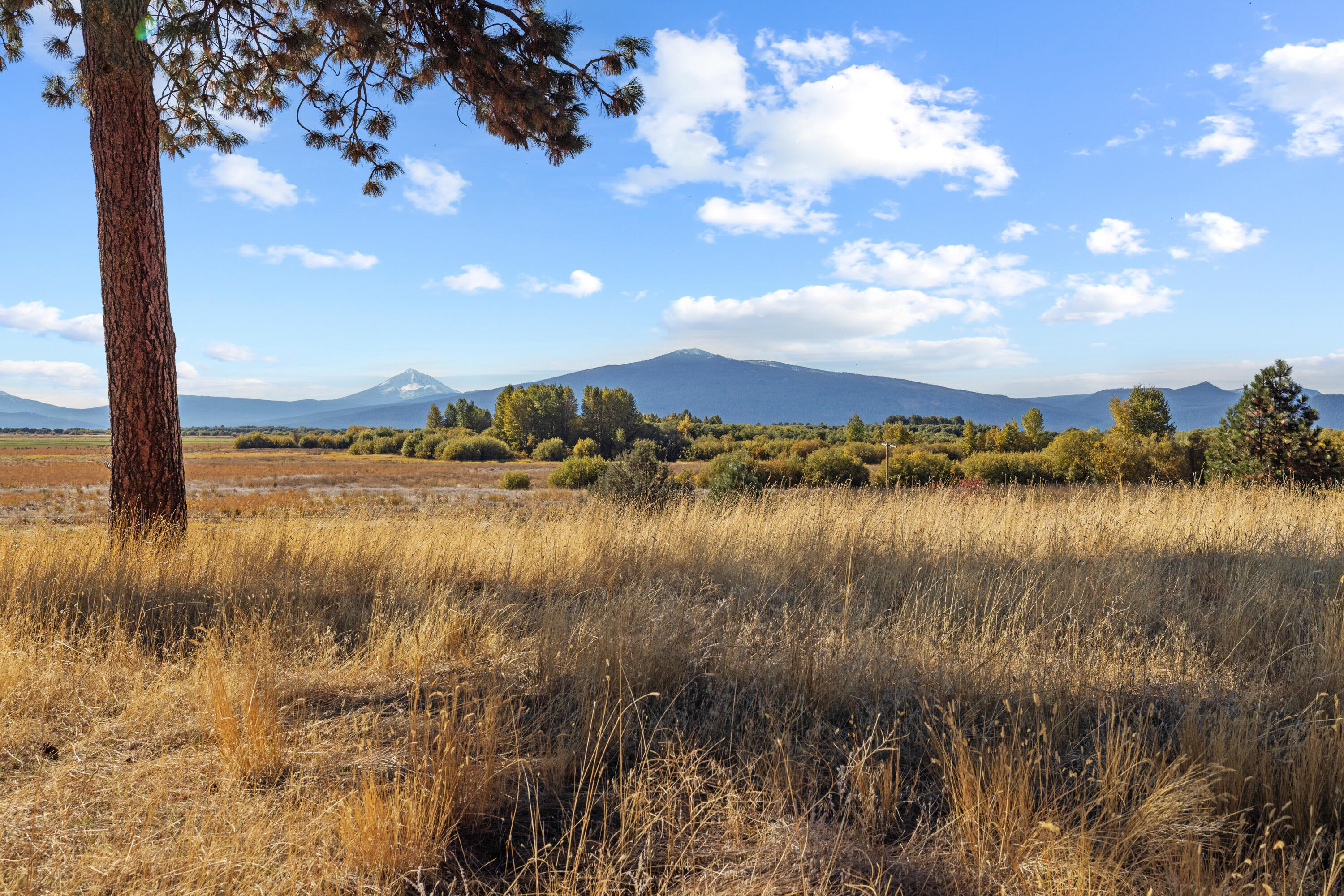 32486 Modoc Point Road Chiloquin, OR 97624 - Photo 107 of 135 32490 Modoc Point Rd-107