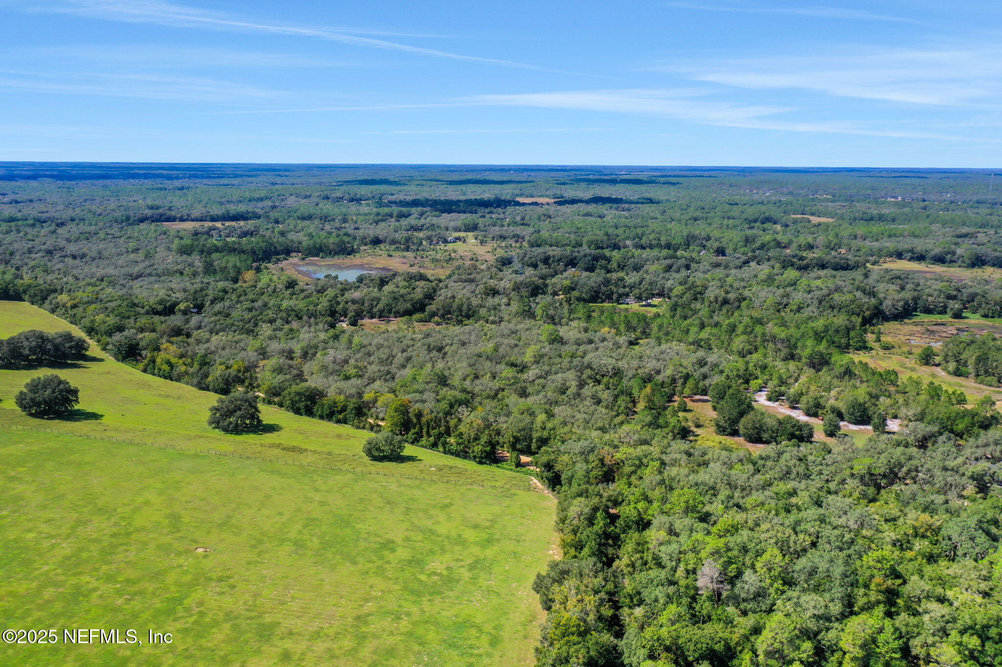 0 Old Bundy Lake Road Melrose, FL 32666 - Photo 11 of 13 a view of a big yard with large trees