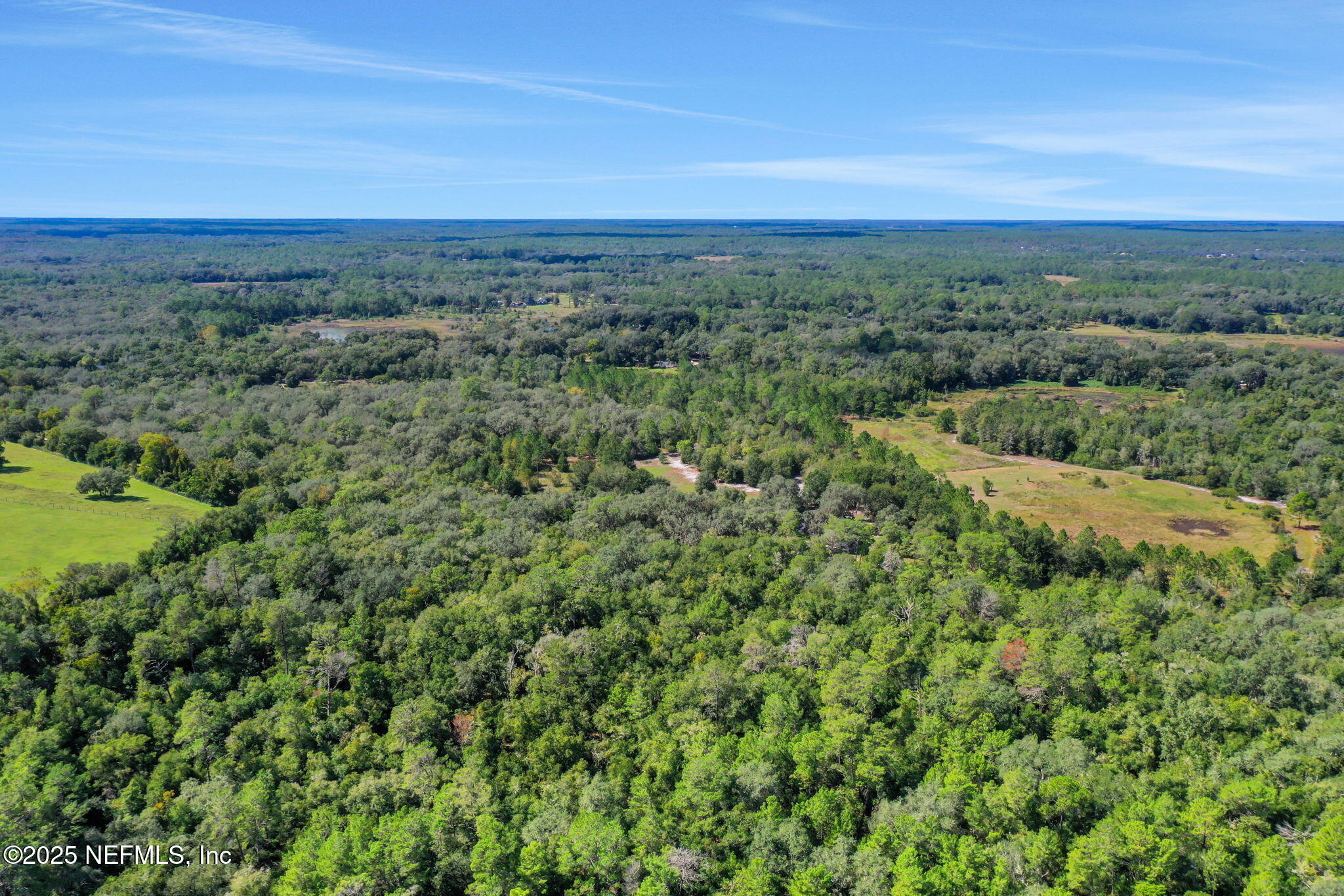 0 Old Bundy Lake Road Melrose, FL 32666 - Photo 3 of 13 a view of a field with a forest