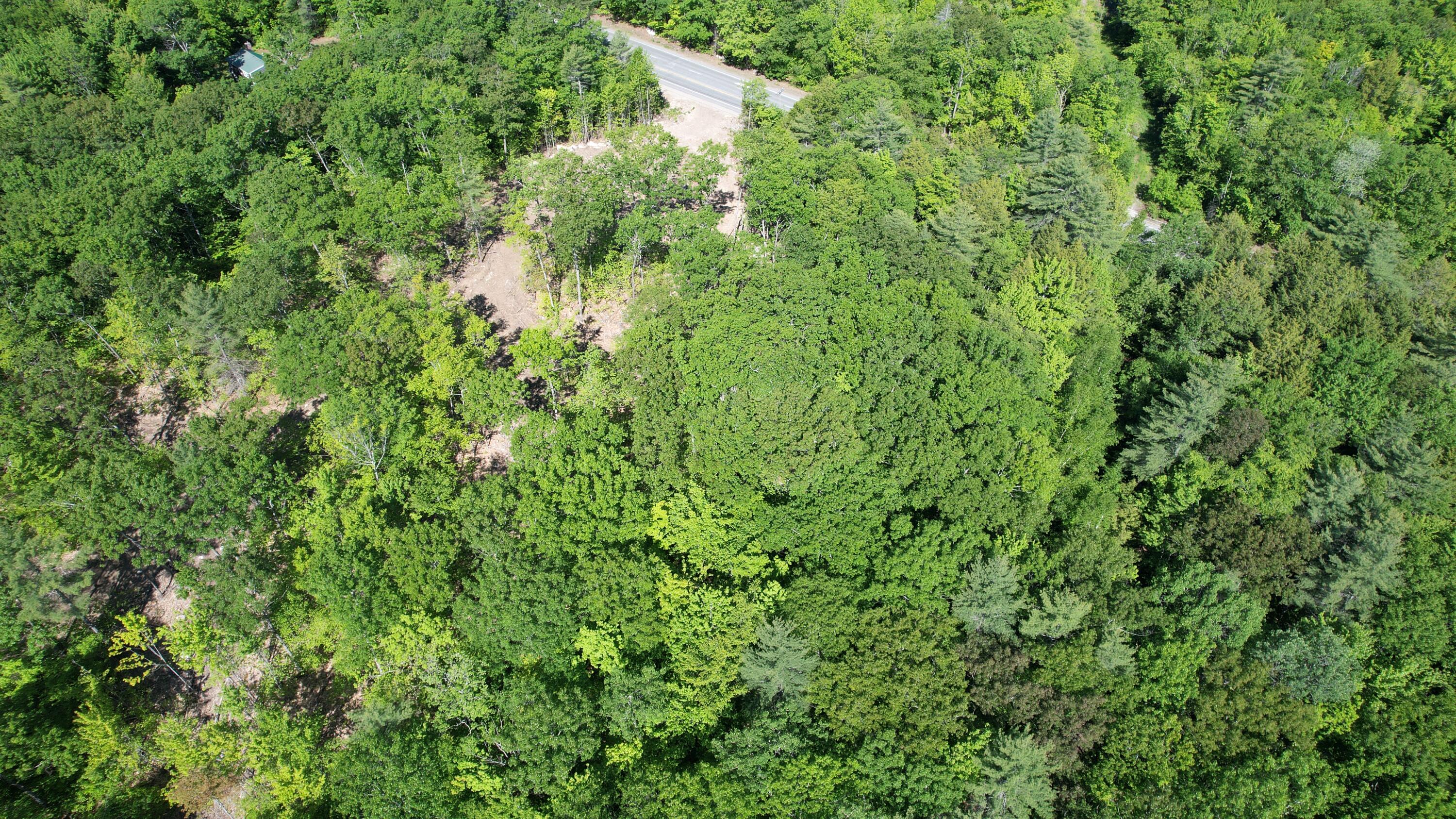 Lot 13-3 Spring Water Road Poland, ME 04274 - Photo 6 of 6 DJI_0012