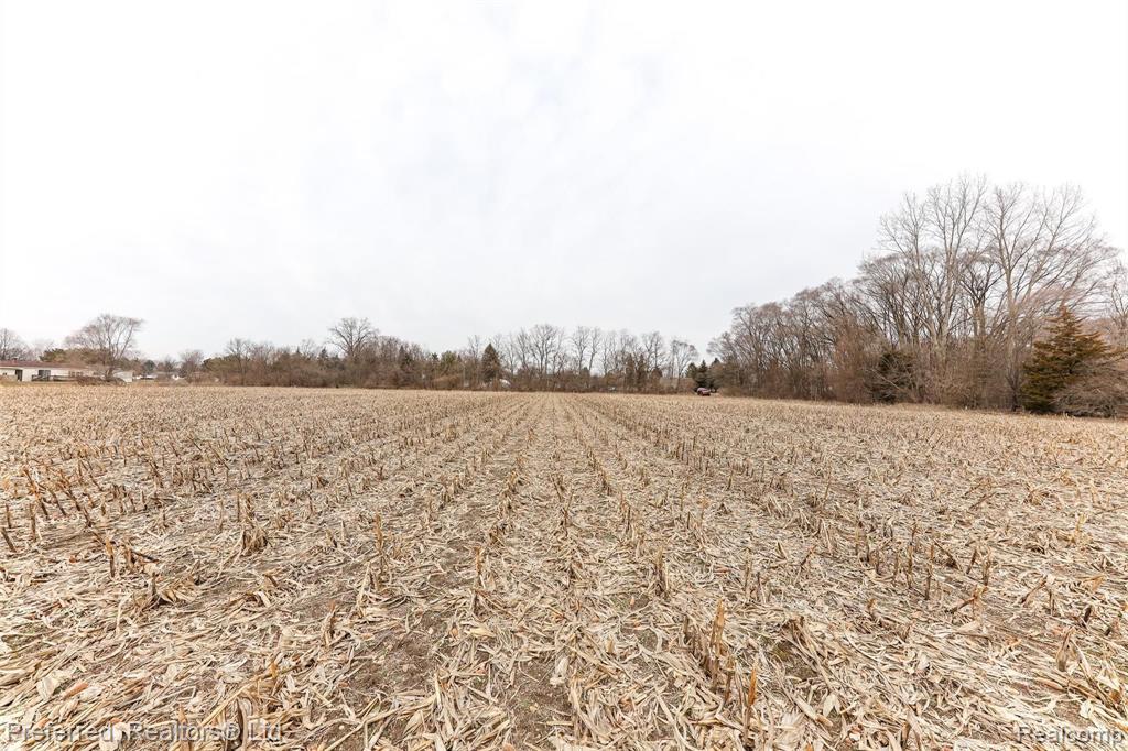 0 Bog Road Belleville, MI 48111 - Photo 5 of 23
