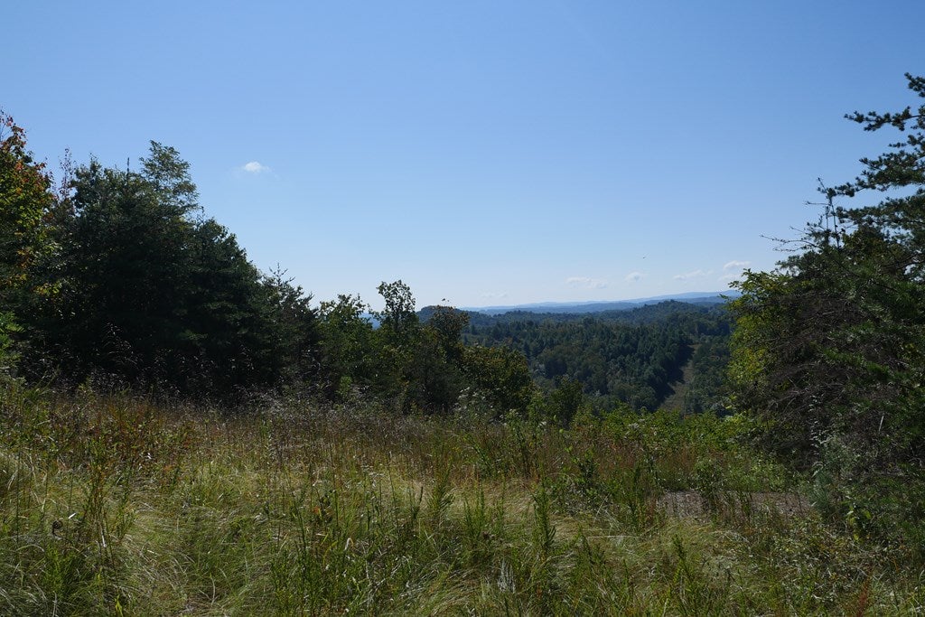 Tbd Hall Hollow Road, Unit 1 Austinville, VA 24312 - Photo 60 of 76 Gallery Image 60