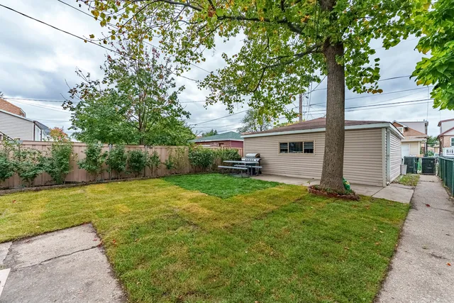 a view of a backyard with plants and large tree