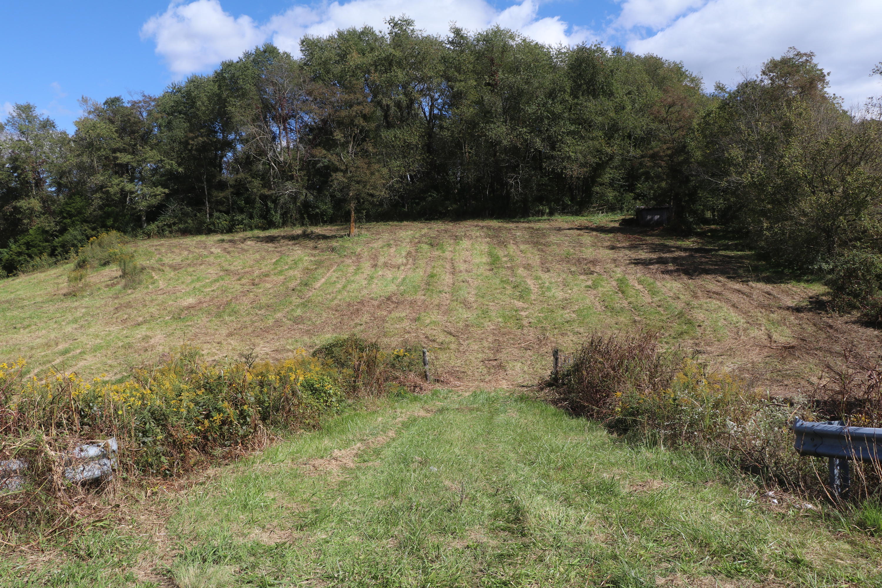 Tbd Monroe Road Meadowview, VA 24361 - Photo 1 of 6 IMG_4312