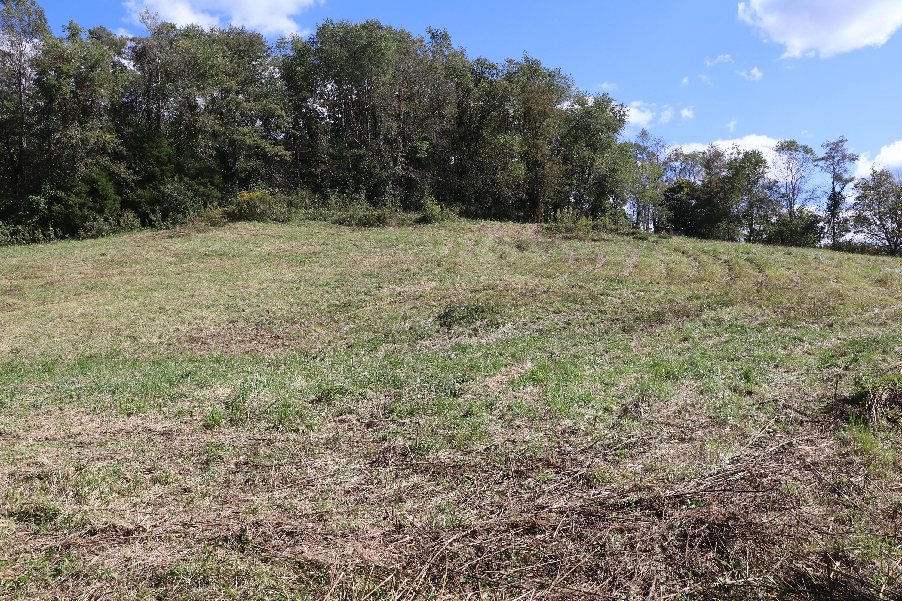 Tbd Monroe Road Meadowview, VA 24361 - Photo 4 of 6 IMG_4317
