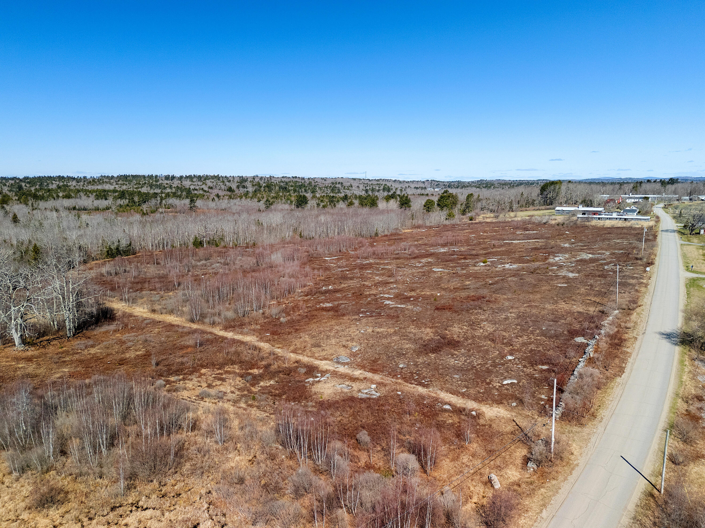 447 Goshen Road Waldoboro, ME 04572 - Photo 41 of 43 GOSHEN ROAD TREE VIEW BLUEBERRY