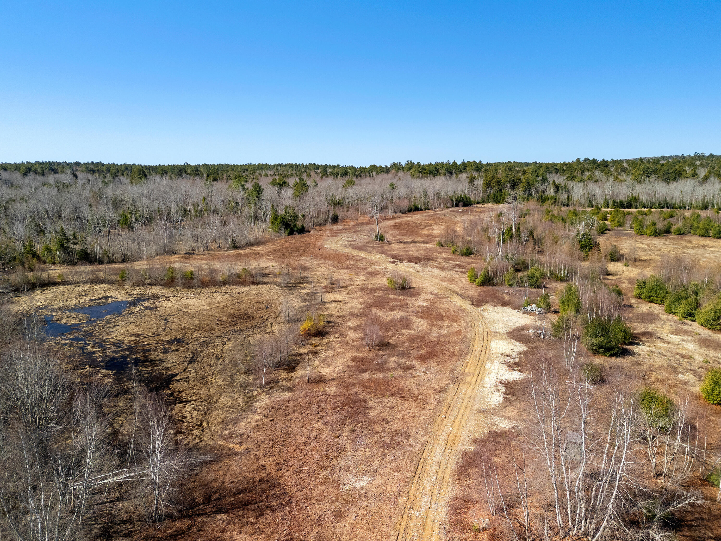 447 Goshen Road Waldoboro, ME 04572 - Photo 43 of 43 GOSHEN ROAD TREE VIEW