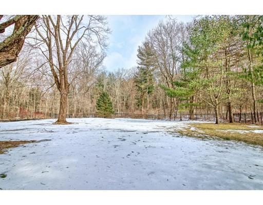 54 Pheasant Landing Road Needham, MA 02492 - Photo 25 of 30 a view of a yard with a tree