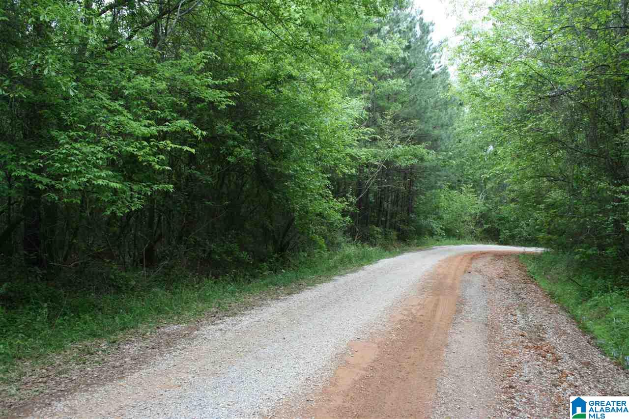 1170 Plant Road, Unit 25 AC Talladega, AL 35160 - Photo 2 of 8