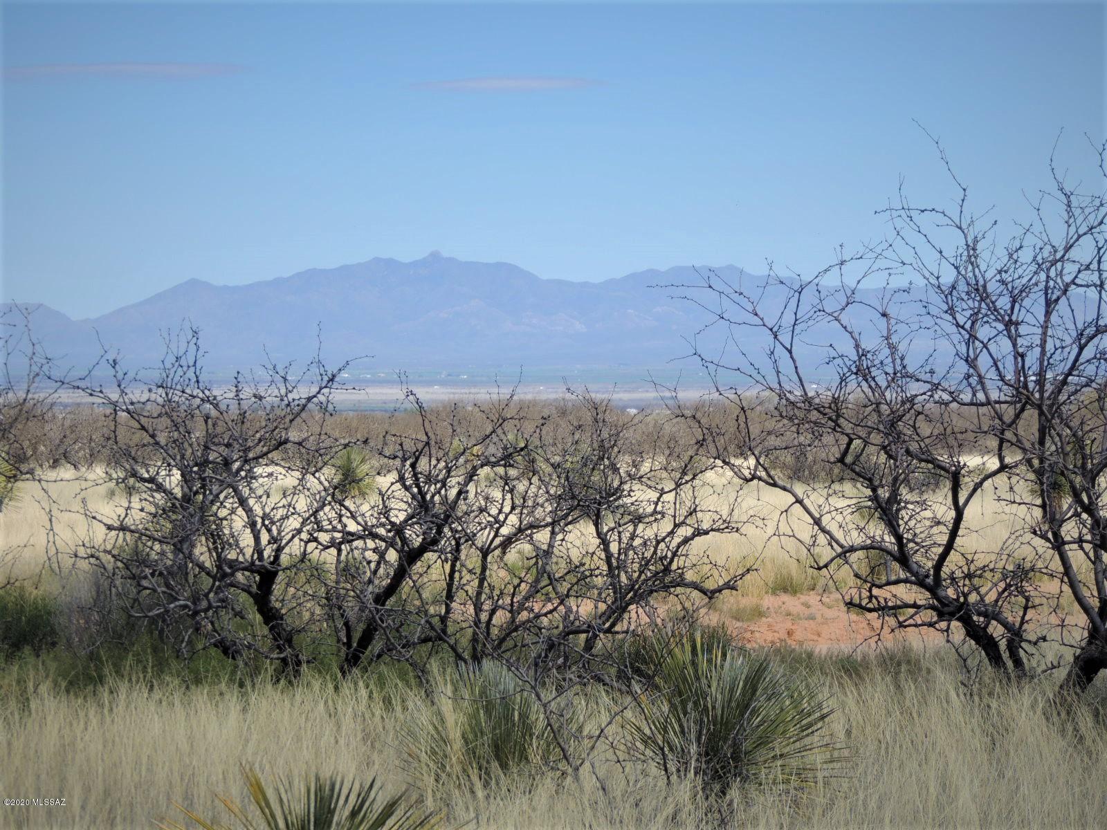 Tbd West Pearce Road, Unit 2 Pearce, AZ 85625 - Photo 7 of 19