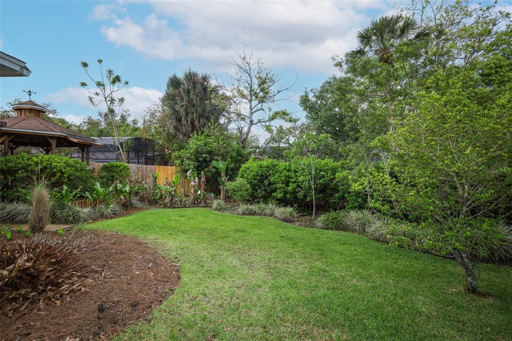 102 Pineview Court Altamonte Springs, FL 32714 - Photo 47 of 59 a view of a backyard with plants and large trees