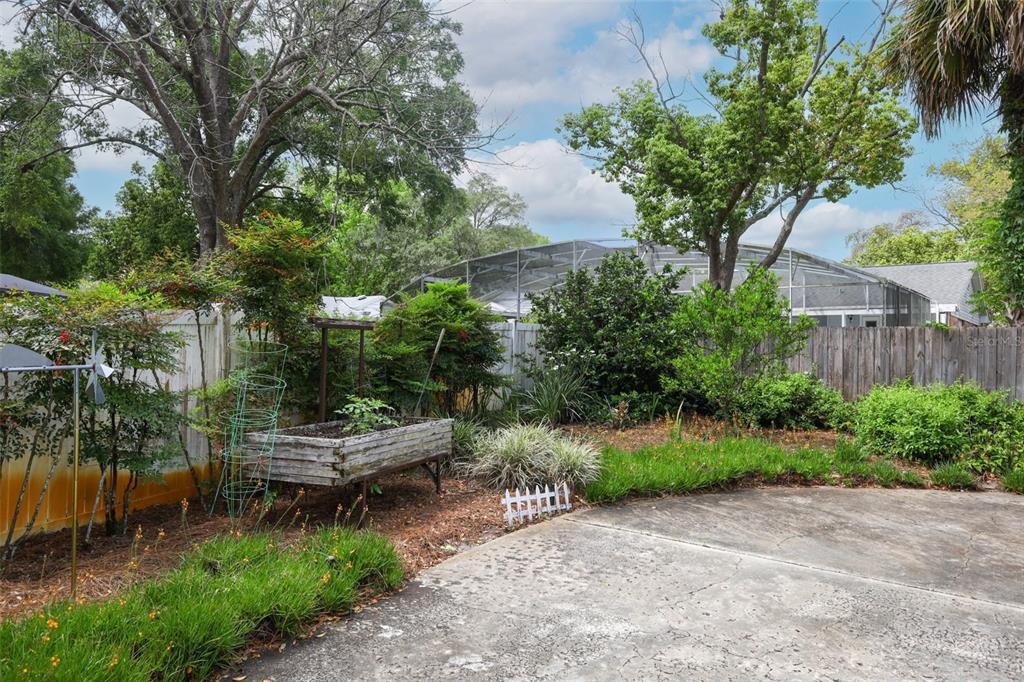 102 Pineview Court Altamonte Springs, FL 32714 - Photo 51 of 59 a backyard of a house with lots of green space