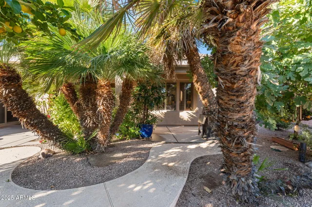 a view of a house with a backyard
