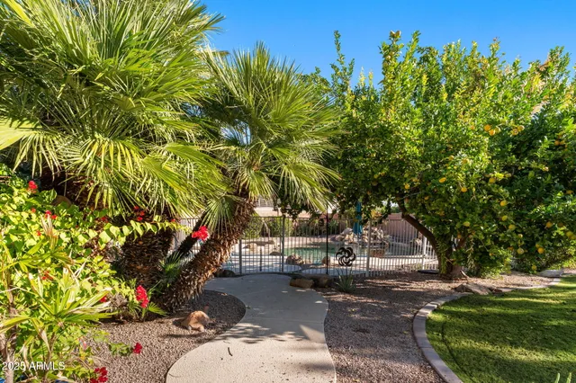 an aerial view of a house with a yard and large trees