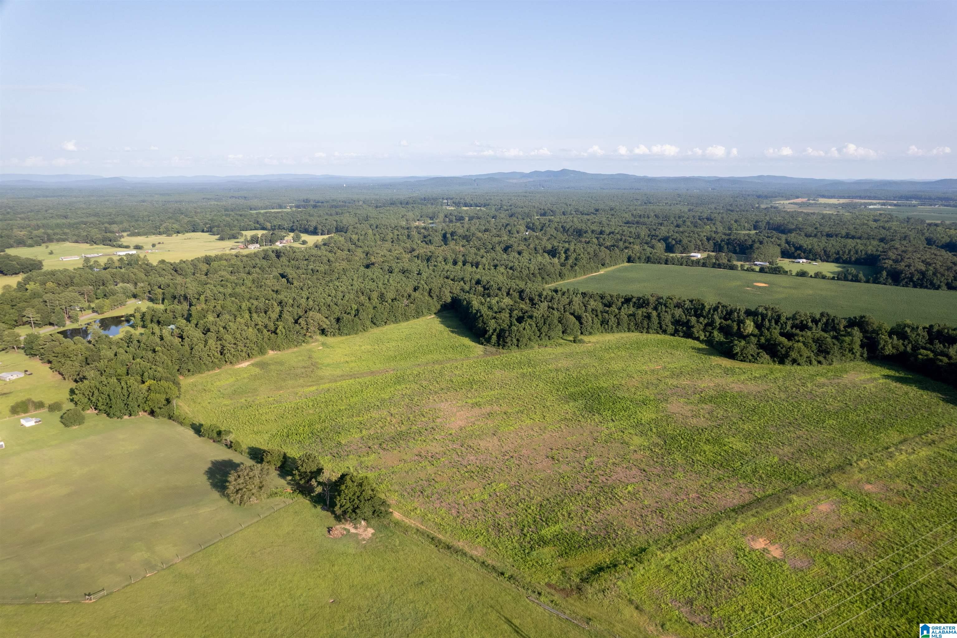 0 Sun Valley Road, Unit 1 Harpersville, AL 35078 - Photo 4 of 9