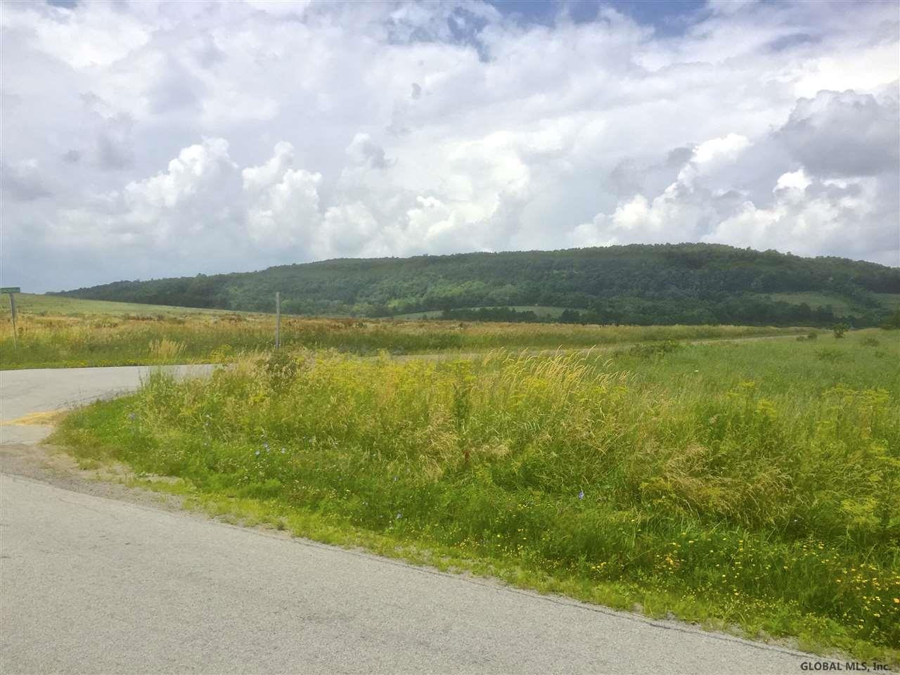 0 Salt Springville Road Fort Plain, NY 13339 - Photo 1 of 6 Photo 1