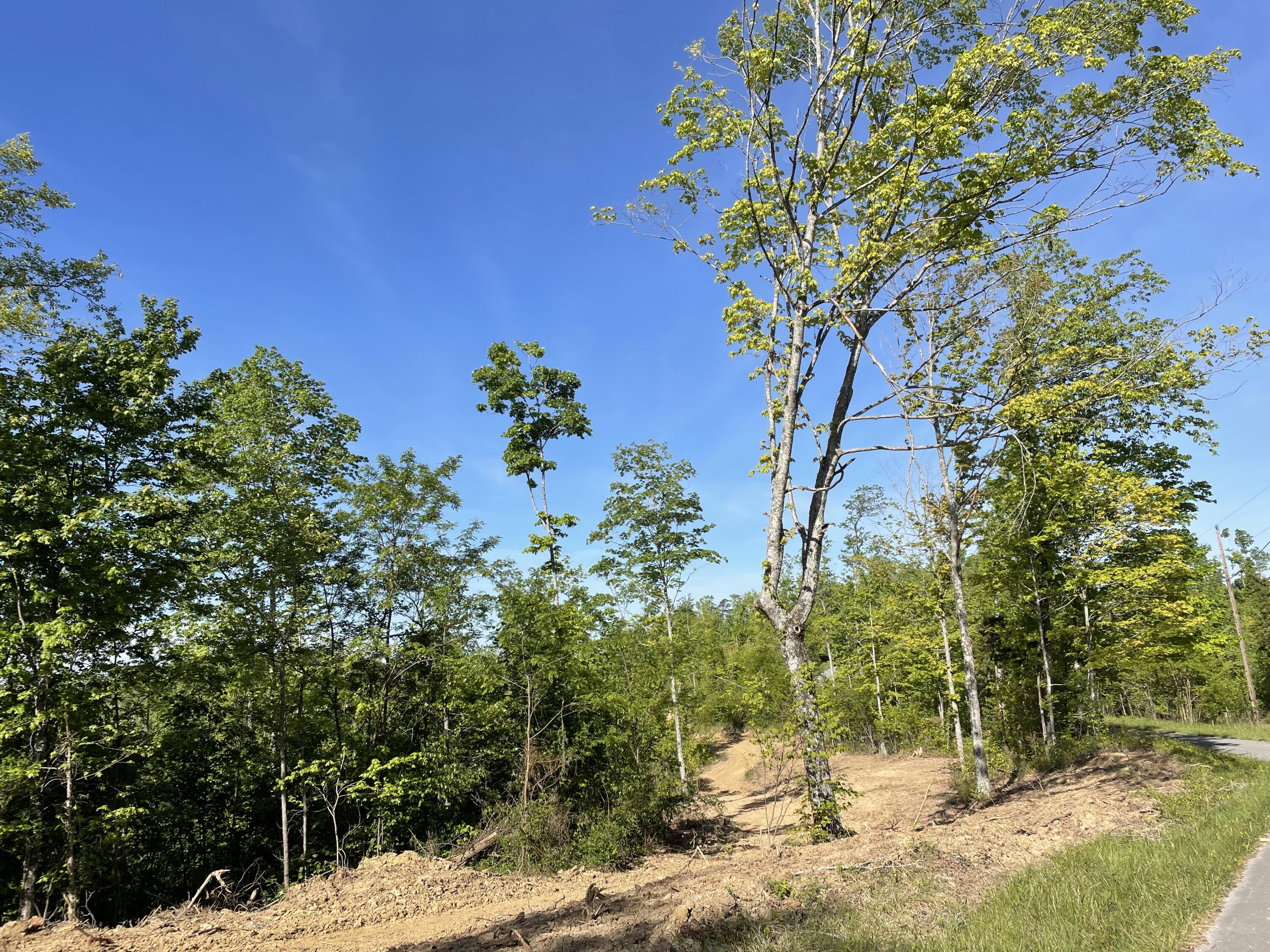 9999 Public Road Somerset, KY 42503 - Photo 7 of 15 51EEF5A8-C4A9-42A3-9FF6-26F80317B714