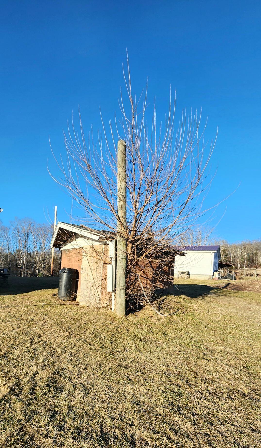 883 Sugar Run Road Ballard, WV 24918 - Photo 58 of 86 Gallery Image 58