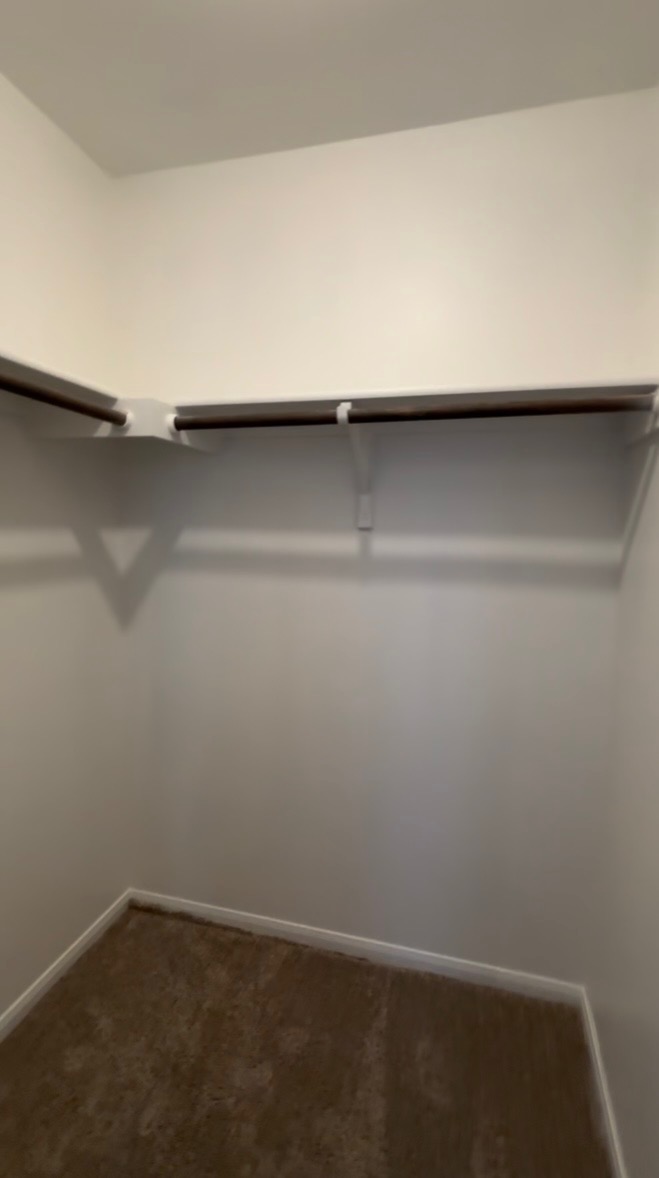 137 Rafe Court Kyle, TX 78640 - Photo 6 of 8 Ample storage solutions are available with this well-appointed closet, featuring built-in shelving and hanging rods.