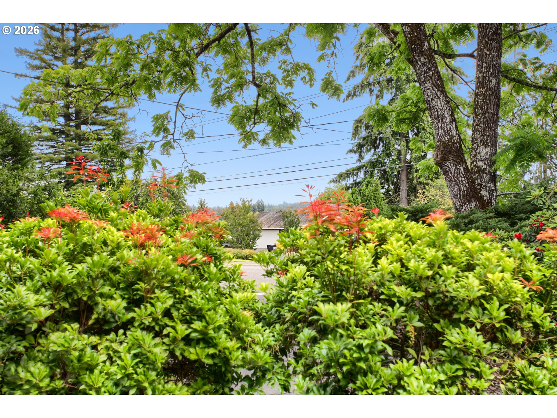 6255 Southwest Old Scholls Ferry Road Portland, OR 97223 - Photo 28 of 30 View