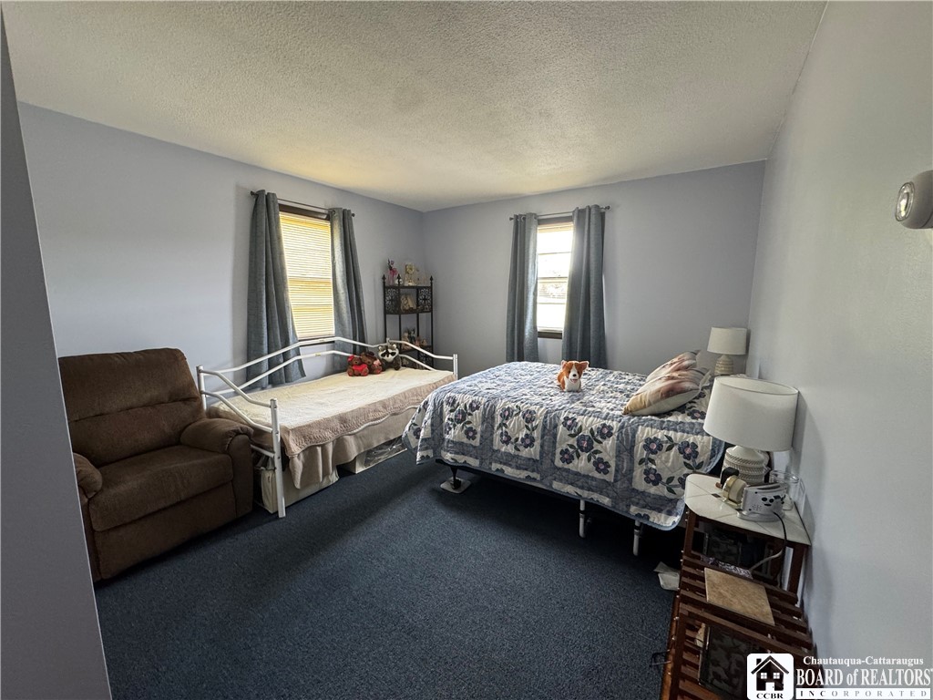 1522 4 Mile Road Allegany, NY 14706 - Photo 43 of 49