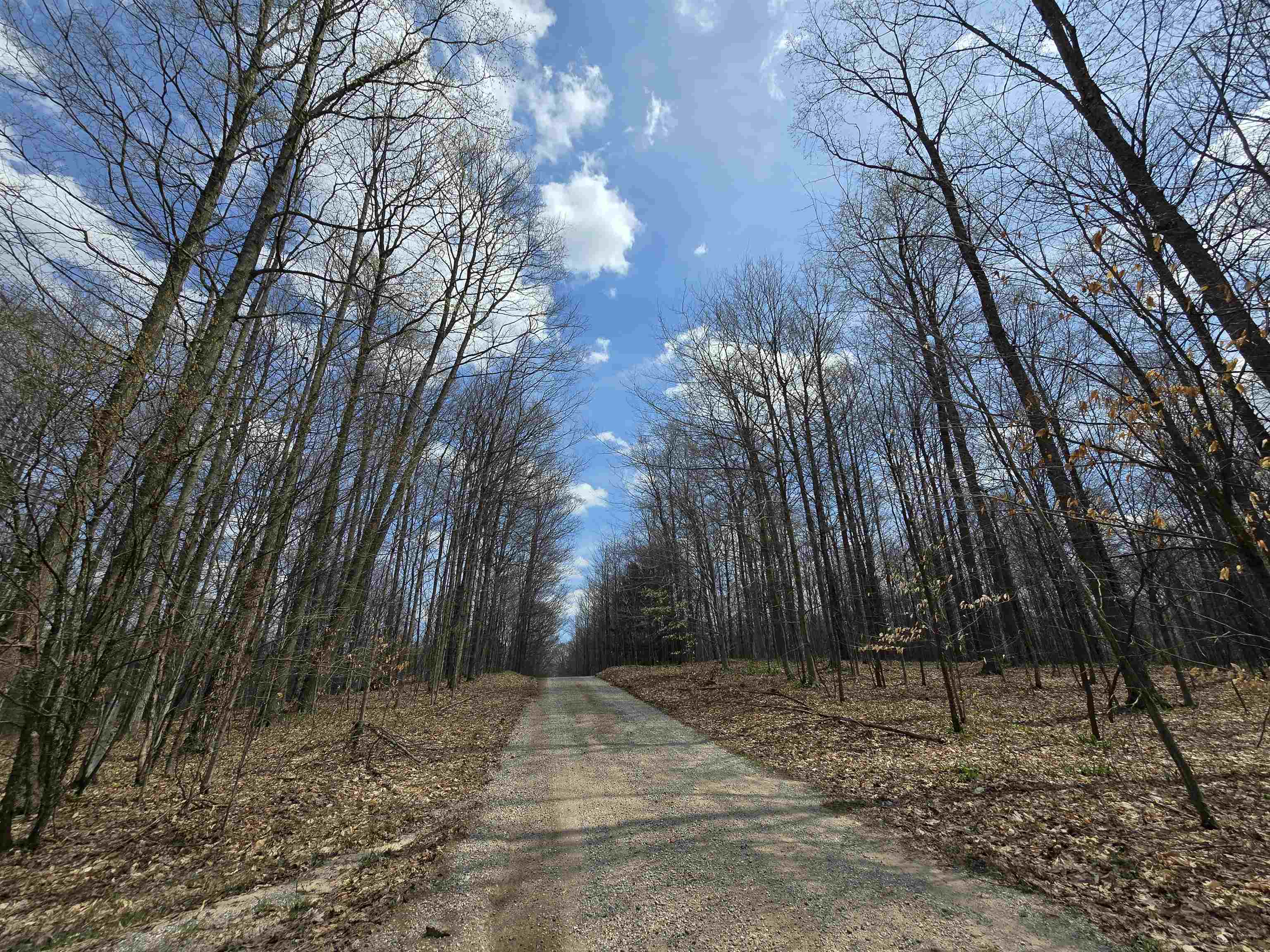 0 West 20 Road Mesick, MI 49668 - Photo 1 of 11