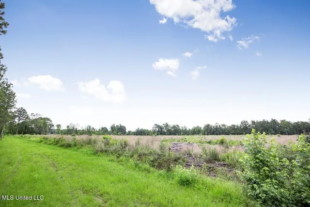 $2,600,000 | 115 Wilderness Run, Hattiesburg, MS 39401